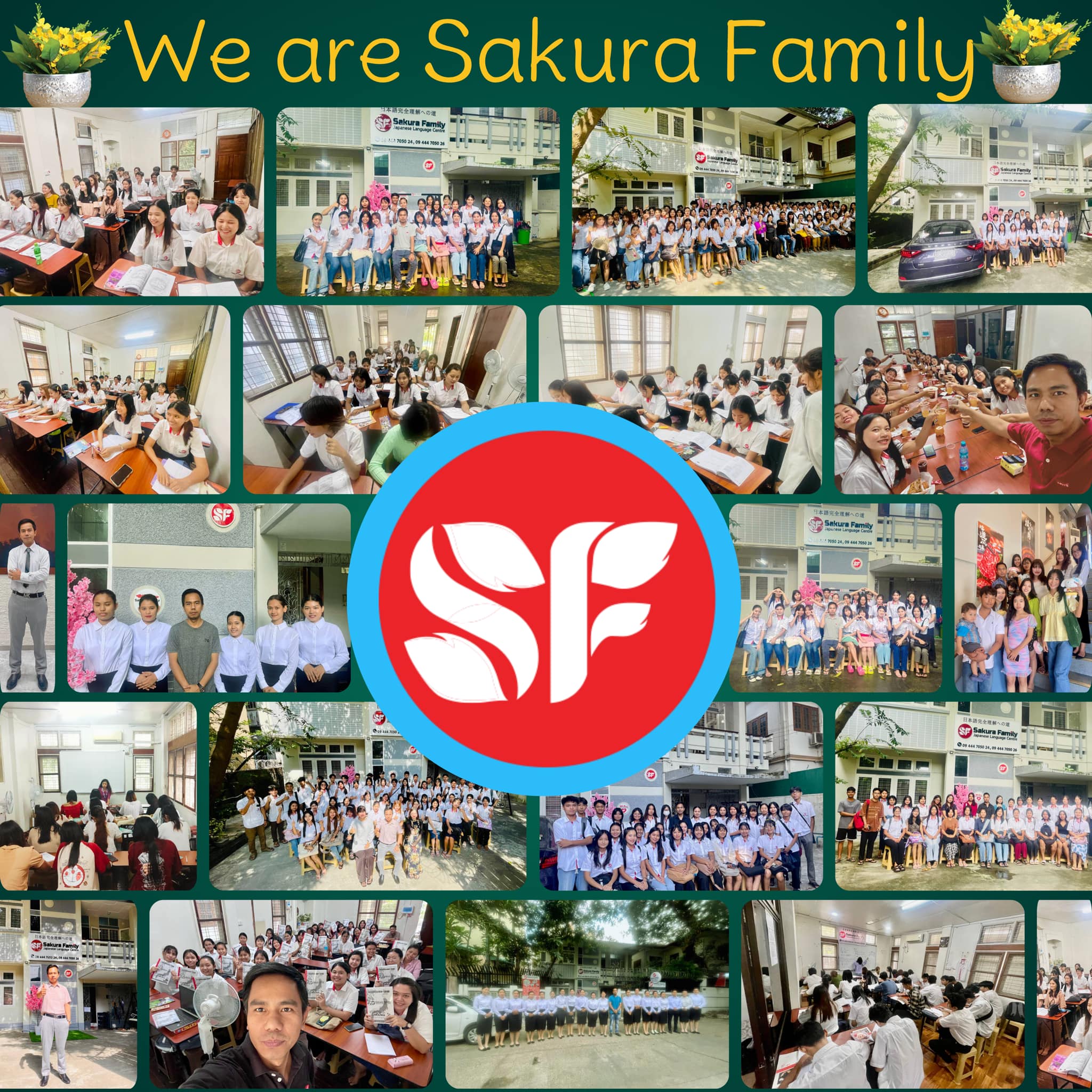 About Sakura Family